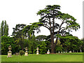 Chiswick House Gardens in W4 3JR
