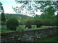 Topiary in the Churchyard in WR12 7JP
