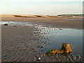 Borth sands and petrified tree in SY24 5JX