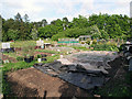 Allotments at Six Mile Bottom in CB8 0XF