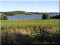 Carsington Water in DE4 4PS