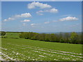 View from South Downs Way in GU28 0NH