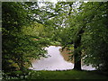 Lake at Pipers Hill wood in B60 4AU