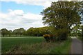 Farmland at Windmill Farm in GU34 3PY