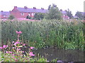 Rushes at the end of Pottery Street, Castleford in LS26 9AL