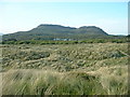 Ancient dunes, near Porthmadog in LL49 9YB