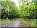 Bucklebury Common in RG7 6TH