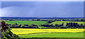 Rapeseed Farmland near Wickham in RG20 8NP