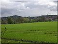 Farmland to the north of Dundee in DD3 0PA