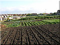 Allotments, Malton in YO17 6BT