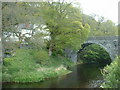 The Afon Alwen at Llanfihangel Glyn Myfyr in Llanfihangel Glyn Myfyr Community