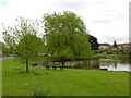 Wigginton village pond in YO32 2RZ