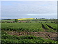 Farmland near Shielhill in DD4 0QN