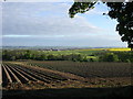 Tattie fields south of Craighill farm in DD4 0PH