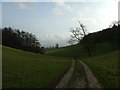 Bridleway Track through Eastwell Park near Challock in TN25 4DD