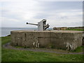 Disappearing Gun in NE33 3HS