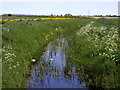 Fleet Drain from the old Hull to Withernsea Railway track in HU9 5JN
