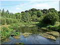 Figheldean, River Avon in SP4 8JX