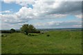 Ramparts of Castle Hill Fort looking North over the Thames Valley floodplain in Blunsdon