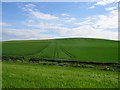 Arable land, Kinkell in KY16 8PL