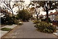 Wyncham Avenue October 1987 in DA15 8WW