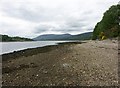 Loch Eil from The Narrows in PH33 7NA
