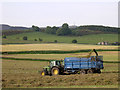 Making silage near Kirkton of Auchterhouse in DD3 0QP