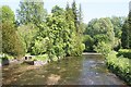 River Test at Longparish in SP11 6PN