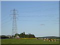 Pylons, West Denside in DD5 3QE