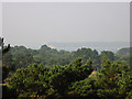 Poole Harbour from Canford Cliffs in BH13 7JT