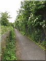 Footpath into Brent River Park at Dormers Wells in UB2 4SB