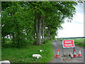 Road Closed! in DD7 6LD