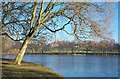 The Lake in Wollaton Park in NG8 2NR