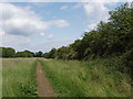 Hillingdon Trail by Ickenham Marsh in UB10 8RU