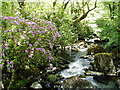 River Teign, Gidleigh Park in TQ13 8HH
