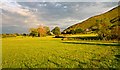 Fields by Bowscale Moss in the evening light in CA11 0XF