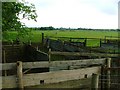 Sheep Pens, Black Plantation in TS9 6QD