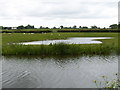 Lancaster canal and a pond in the adjacent field in PR4 0RN