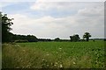 View towards Heath Barn, Risby in IP28 6RA