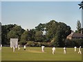 Cricket Match in NE3 2BD