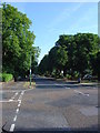 Tree lined street in Sunbury on Thames in TW16 6SQ