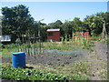 Barratt's Road allotments in WF1 3HU