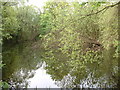 Gerry's Hole, pond near the Icknield Way in SG5 3AW