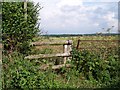 Footpath from Hill Road, Pirton to Wadborough in WR8 9EJ