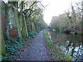 Basingstoke Canal near St. Johns, Woking in GU21 8TW