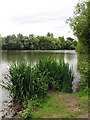 Lake near Malthouse Copse and Ufton Nervet in RG7 4BG