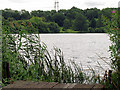 Horsehill Lake near Burghfield in RG7 4BB