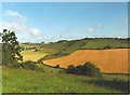 Haydown Hill and Fosbury Camp from Conholt Hill in SN8 3NN