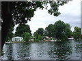 Thames near Walton in TW16 6BY