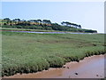 Otter Estuary Nature Reserve in EX9 6ER